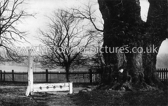 The Old Stocks, Havering-atte-Bower, Essex. c.1913